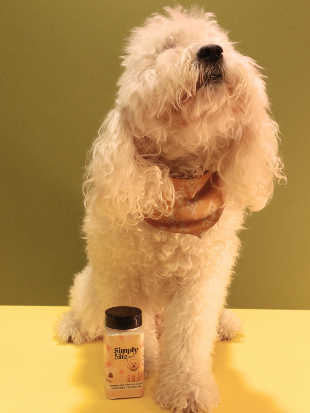 Simply Life Pets Kefir Powder ( 1 ONCE )