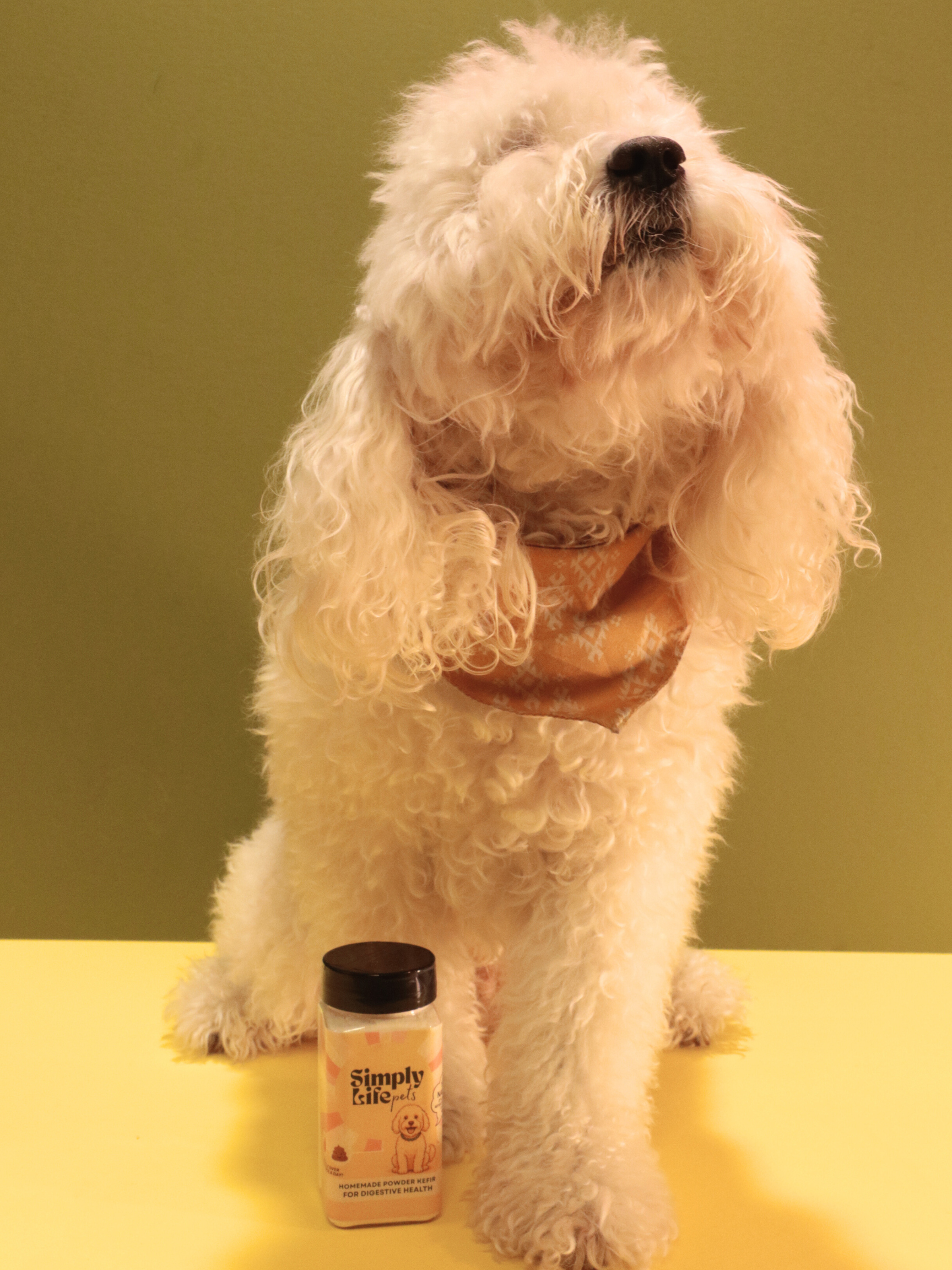 Simply Life Pets Kefir Powder ( 1 ONCE )