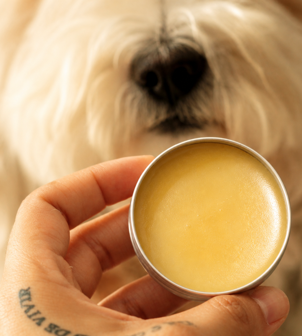 Simply Life Pets Nose & Paw Ritual Balm for Dogs