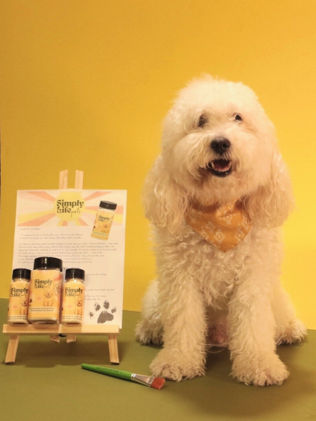 Simply Life Pets Kefir Powder ( 1 ONCE )